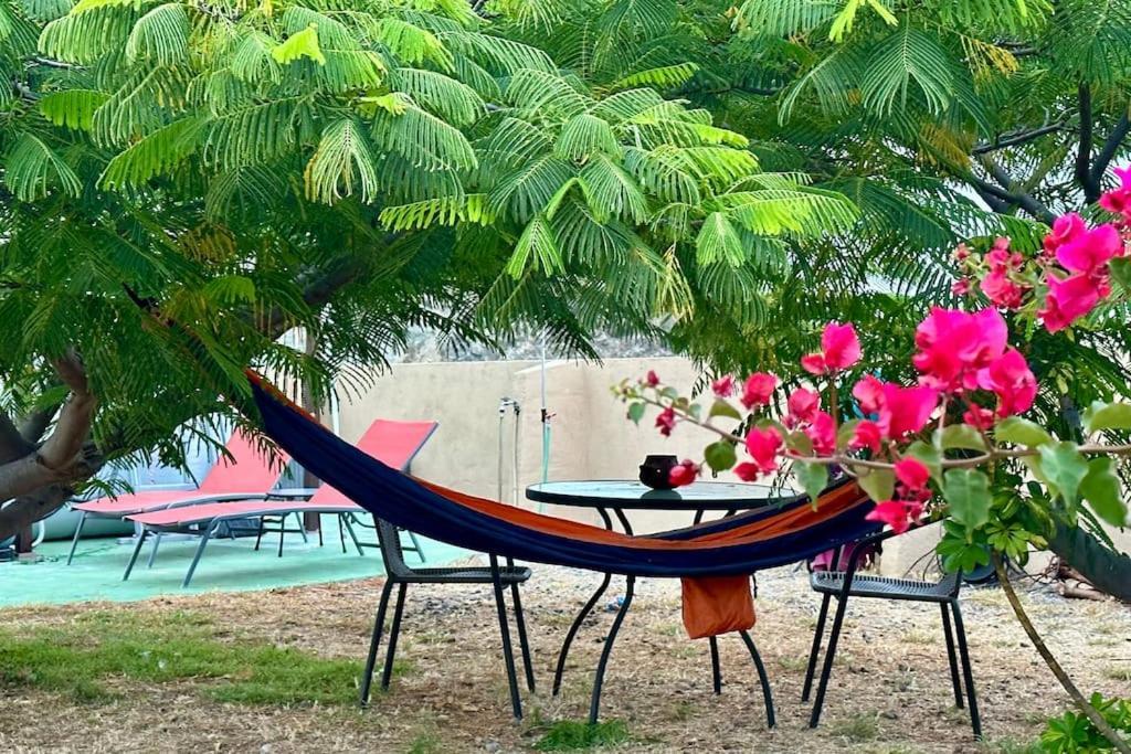 Peaceful Oasis With Magical Sea Views And A Pool Vila Santa Cruz de Tenerife Exterior foto